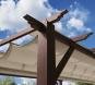 Aluminium Pergola Florenz 1116 | Holzoptik dunkelbraun/braun | 350x505x236 cm
